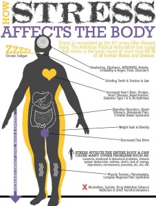Stress Affects the Body